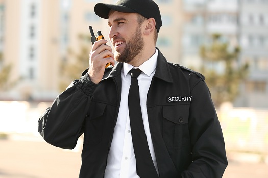 Security Guard jobs